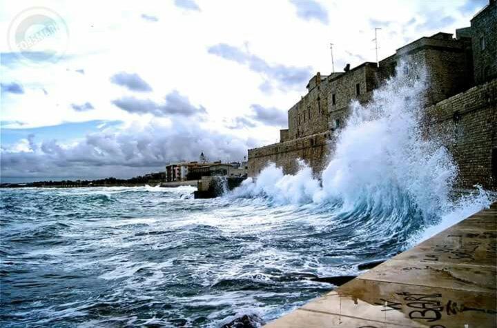 Il Da Vinci Casa Vacanze Giovinazzo Exterior photo